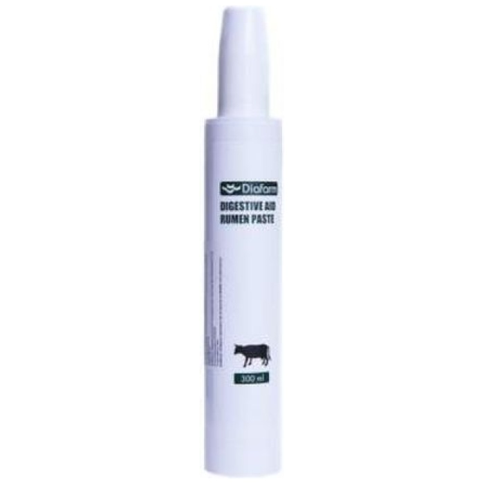 DIAFARM PASTA DIGESTIVE AID RUMEN 300ML /42401/ - Image 1