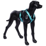 RUKKA TRAKSID FORM S 30MM/55-85CM TÜRKIIS