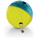 NINA OTTOSSON KOERA MAIUSEPALL S SININE