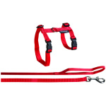 FLAMINGO KASSI TRAKSID JA RIHM SUURTELE KASSIDELE PUNANE