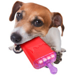 FLAMINGO KOERA JÄÄ PULGAKOMM KÜLMIKUSSE 16CM