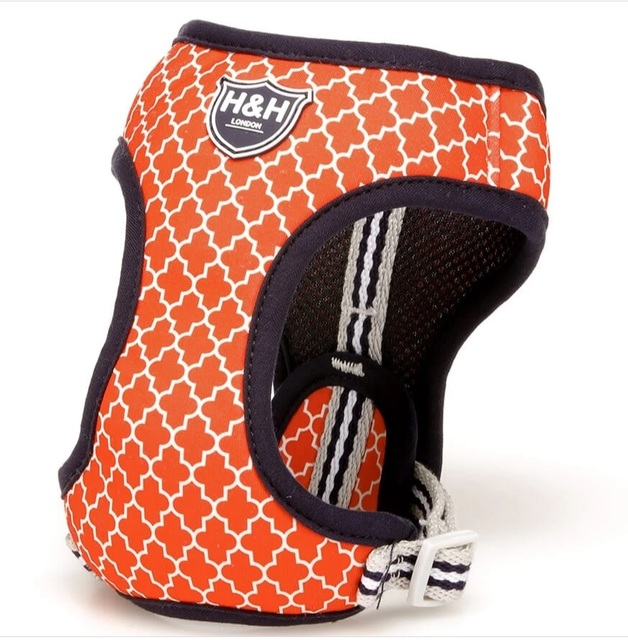 194355.jpg H&H KOERA Y-TRAKSID S ORANŽ - Image 1