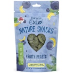 BURGESS EXCEL VÄIKELOOMA MAIUS FRUITY FEASTS 60G