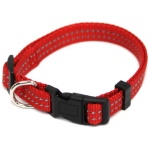 LOVE STORY KOERA KAELARIHM 30-45CMX15MM PUNANE