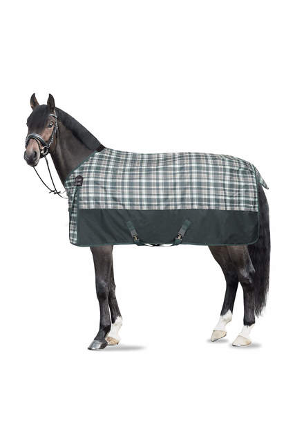 223198.jpg HORZE HOBUSE ÕUETEKK NEVADA 400G 140CM ROHELINE - Pilt 1