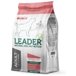 LEADER KOERA TÄISSÖÖT SENSITIVE LÕHE SUUR TÕUG 2KG