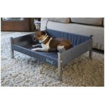 HENRY WAG KOERA PESA ELEVATED M HALL