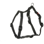 FLAMINGO KOERA H-TRAKSID ZIGGI XL T.HALL