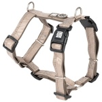 MAX&MOLLY KOERA TRAKSID MATRIX 2.0 M BEEZ