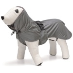 BEEZTEES KOERA VIHMAJOPE CARO HELENDAV 36 HALL