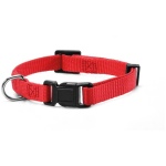 Record punane kaelarihm koerale S 1,5x33-40cm