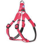 Record roosat värvi nailonist traksid koertele S