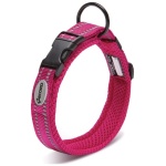 Record Ande roosa kaelarihm koerale 2x40-45cm