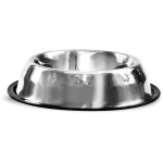 Record sööginõu kummiäärega 0,45L