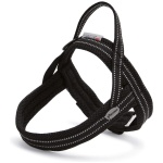 Record Dolomiti traksid koerale XXS must