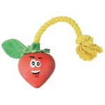 Record koeralelu maasikas 42,5cm