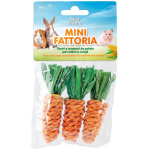 Record mänguasi Porgand närilistele 8cm