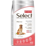 Select Adult Sensitive Salmon and Rice koeratoit 12kg