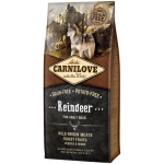 Carnilove Reindeer for Adult koeratoit 12 kg