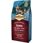 Carnilove Salmon for Adult kassitoit 6 kg