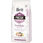 Brit Fresh Chicken with Potato Puppy koeratoit 12 kg
