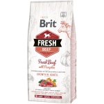 Brit Fresh Beef & Pumpkin Puppy Large Bones & Joints koeratoit 12 kg