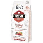 Brit Fresh Beef & Pumpkin Puppy Large Bones & Joints koeratoit 2,5 kg