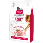 Brit Care Cat Grain-Free Adult Activity Support kassitoit 2kg
