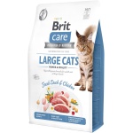 Brit Care Cat Grain-Free Large cats Power Vitality kassitoit 2 kg