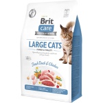Brit Care Cat Grain-Free Large Cats Power Vitality kassitoit 0,4 kg