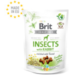 Brit Care Insects with Rabbit närimismaius koertele 200g