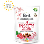 Brit Care Insects with Lamb närimismaius koertele 200g