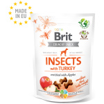 Brit Care Insects with Turkey närimismaius koertele 200g