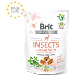 Brit Care Insects with Salmon närimismaius koertele 200g
