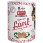 Brit Care Cat Snack SuperFruits Lamb kassimaius lambalihaga 100g