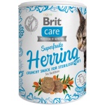 Brit Care Cat Snack SuperFruits Herring kassimaius heeringaga 100g