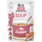 Brit Care Soup with Salmon lõhesupp kassidele 75g