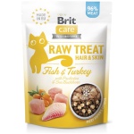 Brit Care Raw külmkuivatatud maius Hair & Skin kassidele 40g