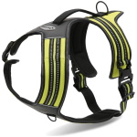 Record traksid koerale 60/72cm M kollane