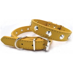 Record Punk kollane kaelarihm koerale 1,9x40-45cm