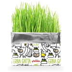 Record kassimuru kasvatamise pakk 120g