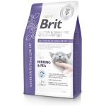 Brit Veterinary Diet Gastrointestinal - Low Fat erisööt kassidele 2kg