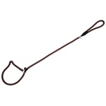 Freedog pruun kaelarihm-jalutusrihm koerale 8mm x 120cm