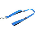 Freedog Extreme nailonist sinine jalutusrihm koerale 25mm x 180cm