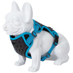 Freedog Boreal kaprisinised traksid koerale 15mm 34-63cm