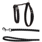 FLAMINGO KASSI TRAKSID JA RIHM ELZA MUST