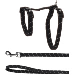 FLAMINGO KASSI TRAKSID JA RIHM ELZA SUURTELE KASSIDELE MUST