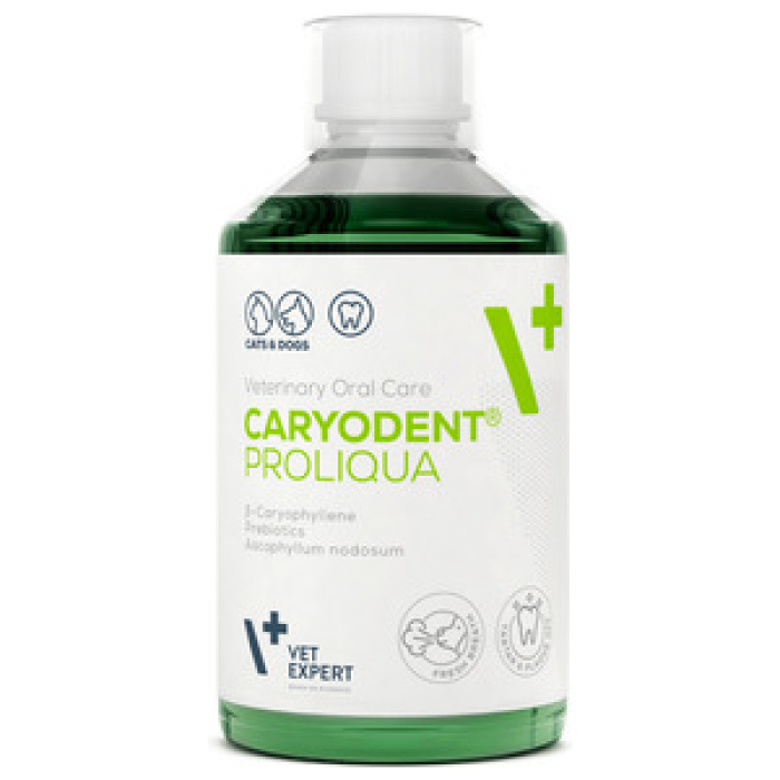 VETEXPERT JOOGIVEELISAND KOERTELE CARYODENT PROLIQUA 250ML - Image 1
