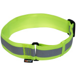 RUKKA KOERA HELKUR KAELARIHM NOTE M/L  40-70CM KOLLANE