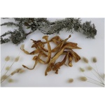 Tessa kuivatatud viilutatud seakõrvad koertele 100g